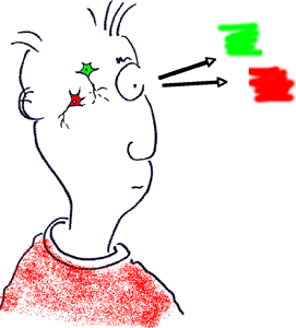 Color channels in the brain cannot explain why
red looks red rather than green Color Spongeman
